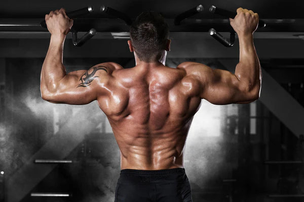 MOUNTBERRY NUTRITION